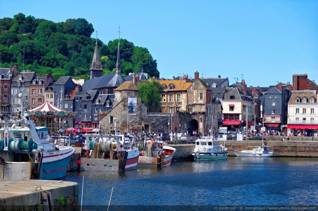 Appartement Le 54 Honfleur